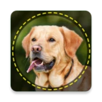 Logo of Dogs Identification App android Application 